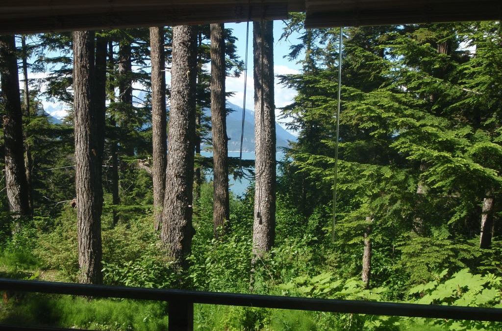 Cabin 2 View