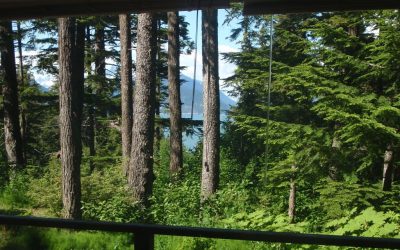 Cabin 2 View